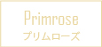 Primrose プリムローズ