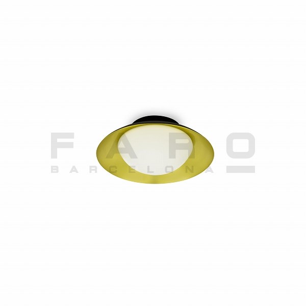 SIDE LED Black and gold ceiling lamp G9