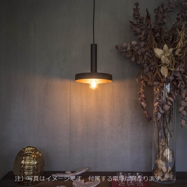 WHIZZ Black and satin gold pendant lamp